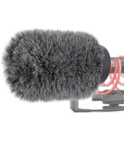 RØDE WS11 Windshield for VideoMic NTG Microphone : Amazon.sg