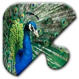 Jigsaw Puzzles Free Game - Chapter 27