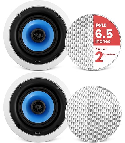 Amazon.co.jp: 2本組み 天井埋め込みスピーカー CI-42PC : 家電＆カメラ