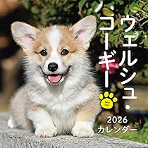 コーギースタイル vol.49 (タツミムック) | 辰巳出版 |本 | 通販 | Amazon