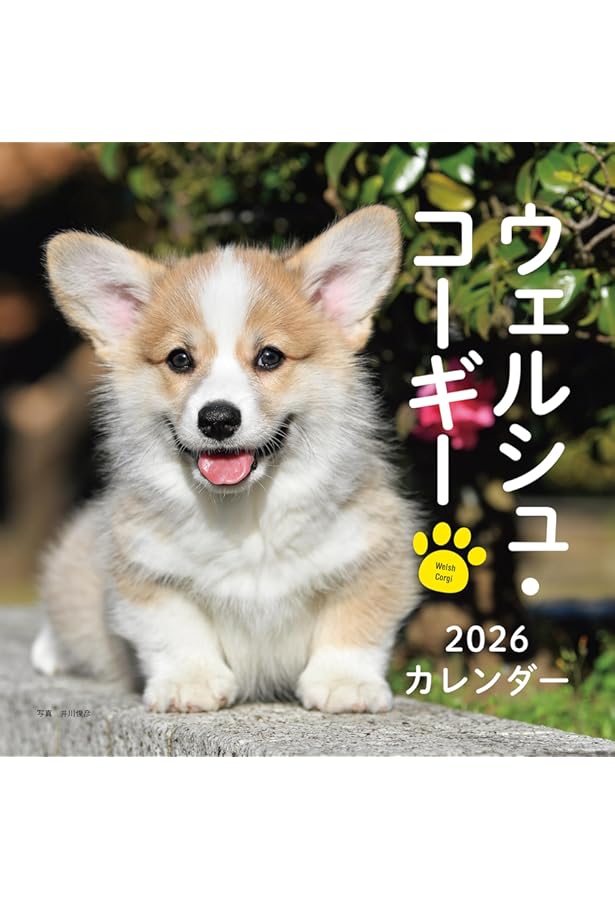 カレンダー2026 癒やしのウェルシュ・コーギー（月めくり/壁掛け/600mm