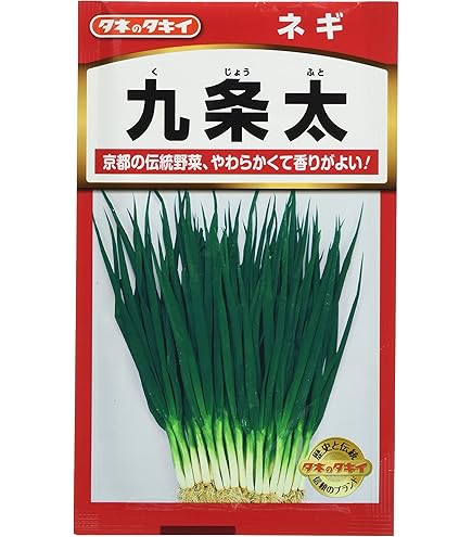 Amazon | 日光種苗 ネギ 九条一本太ねぎのタネ [1723] | 野菜