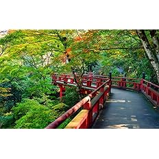 Amazon Co Jp 絵画風 壁紙ポスター 森 お宮 日本庭園 森林 森林浴 緑 紅葉 黄葉 目の保養 癒し 色彩 はがせるシール式 キャラクロ Snr 019w2 ワイド版 603mm 376mm 建築用壁紙 耐候性塗料 日本製 ウォールステッカー お風呂ポスター ホーム キッチン