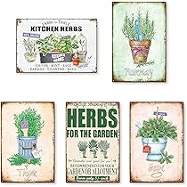 81c43dWKD2L._AC_UL210_SR210,