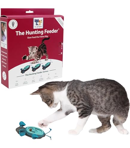 +orijen +senior +cat +food ORIJEN Tundra Grain-Free Dry Cat Food, 4-lb