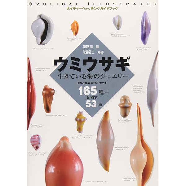Amazon.co.jp: アリの巣の生きもの図鑑 : 丸山 宗利: 本