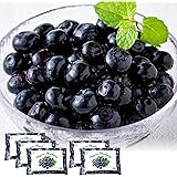 オーガニック 冷凍 ブルーベリー 1kg（200g×5パック） 有機JAS認証 無農薬 業務用 お徳用 フルーツ 果物 大粒 デューク