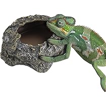 爬虫類　水 エサ入れ　22 Amazon | PAVIKE 爬虫類 水入れ 爬虫類 餌入れ 爬虫類用 水飲み