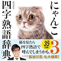 あおいねこ 様　サンダル &パーカー& 四字熟語 3点まとめ売り にゃんこ四字熟語辞典3 | 西川清史 |本 | 通販 | Amazon