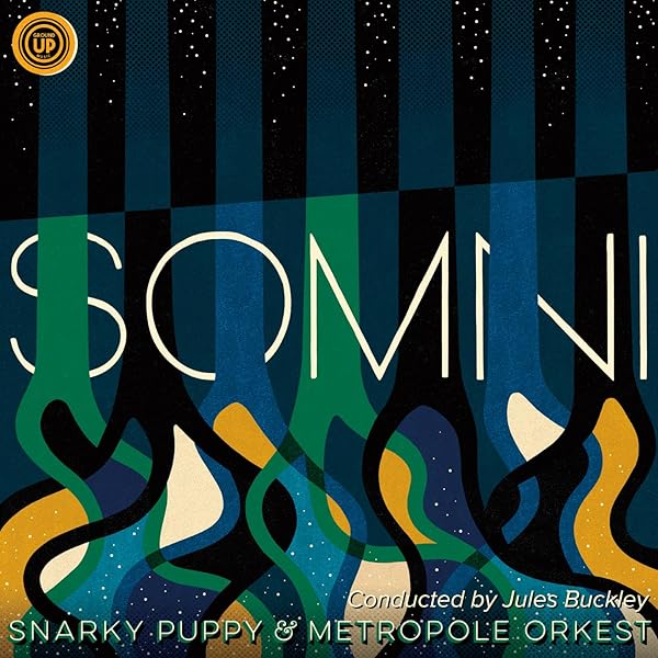 Vulfpeckファミリー Nate Smith Live Action 新品 Vulfpeckファミリー Nate Smith Live Action 新品 - メルカリ