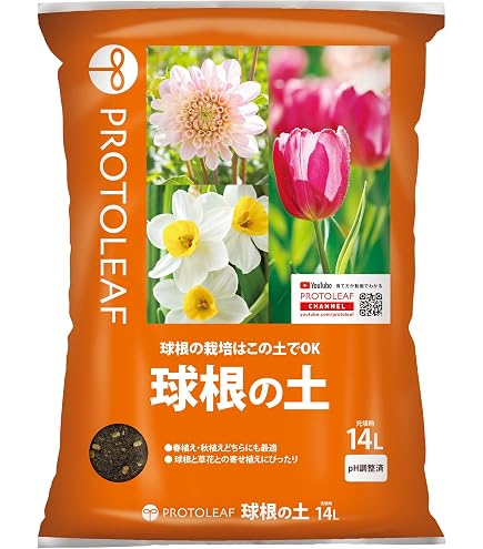 Amazon | チューリップ カラフルファイブカラーコレクション 色別5色各