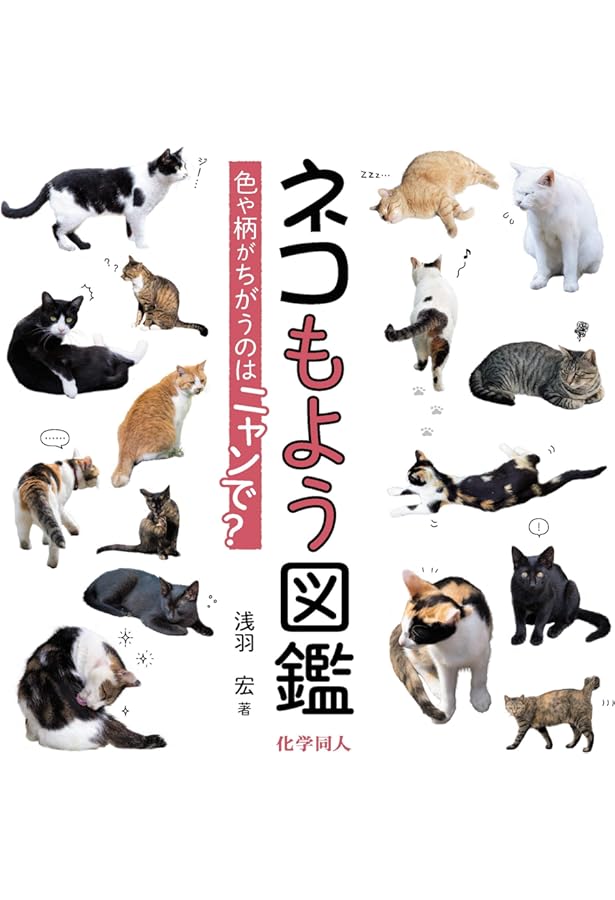 Amazon.co.jp: 決定版 まるごとわかる 猫種大図鑑 (Gakken Pet Books