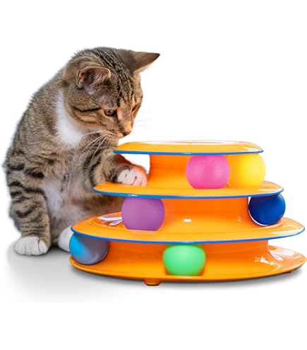 Amazon | 【Neater Feeder】ニーターフィーダー エクスプレス 猫用