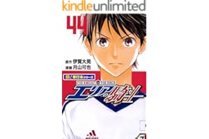 エリアの騎士【極！単行本シリーズ】44巻