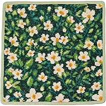 Amazon.co.jp: フェイラー FEILER ハンカチ ハンドタオル 25cm