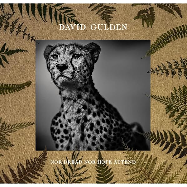 DAVID GULDEN the centre cannot hold　写真集 Amazon | The Centre Cannot Hold | Gulden, David, Minot, Susan