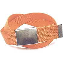 新品 お散歩用のポーチ millhill 幅広4cm 縮小ベルト　オレンジ色 Amazon | 40㎜幅 ナイロン 作業用 ラギットバックル ベルト (M