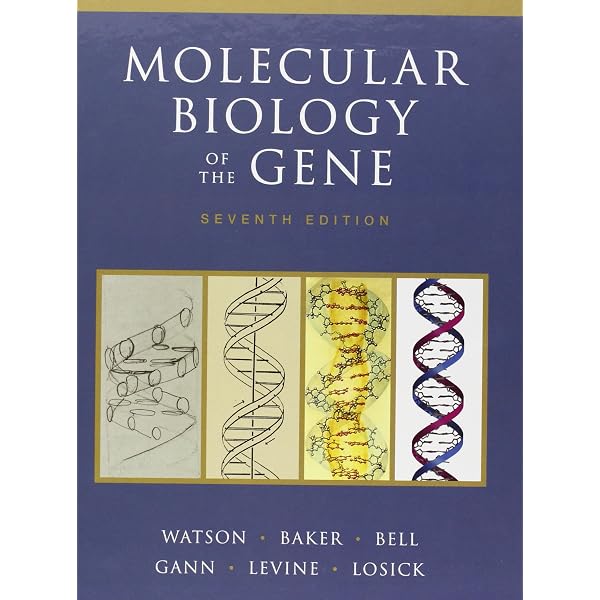 Amazon.co.jp: Molecular Biology of the GENE new Multi-Colour