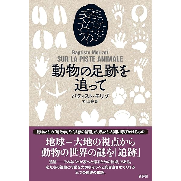 アニマルトラック&バードトラックハンドブック | 今泉 忠明 |本