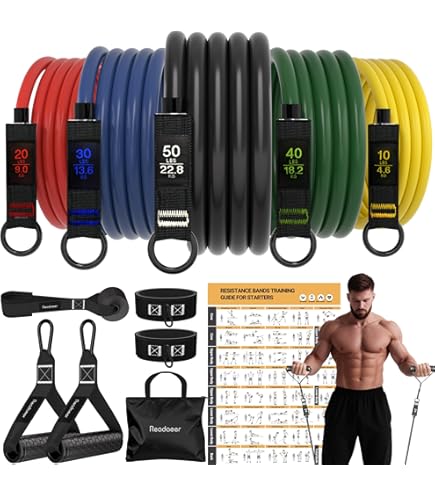 Amazon.co.jp: SPRI Ignite フラットバンドキット : スポーツ＆アウトドア