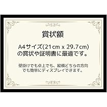 額装品/New York at Night 限定800枚/ポスター 91gwvk7m2VL._UF894,1000_QL80_.jpg
