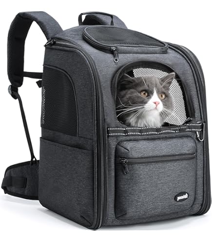 RITOGATO リトガト フロントリュック バージョン5 RITOGATO リトガト フロントリュック バージョン5 Amazon.co.jp