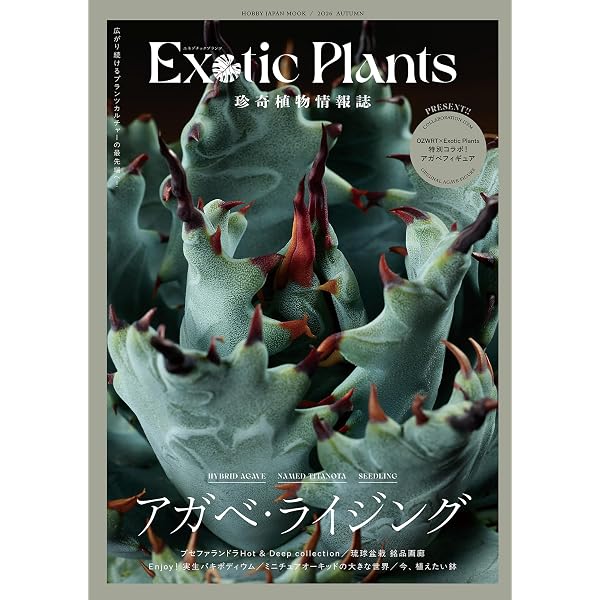 INDOOR JUNGLE No.03 (2025-12-24) [雑誌] | エムピージェー | 趣味