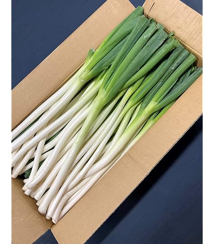 Amazon.co.jp: 【鳥取県産】 白ネギ 1束 送料別 : 食品・飲料・お酒