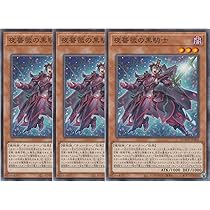 Amazon.co.jp: 【3枚セット】 DOOD-JP055 黒薔薇の華園 ブラック
