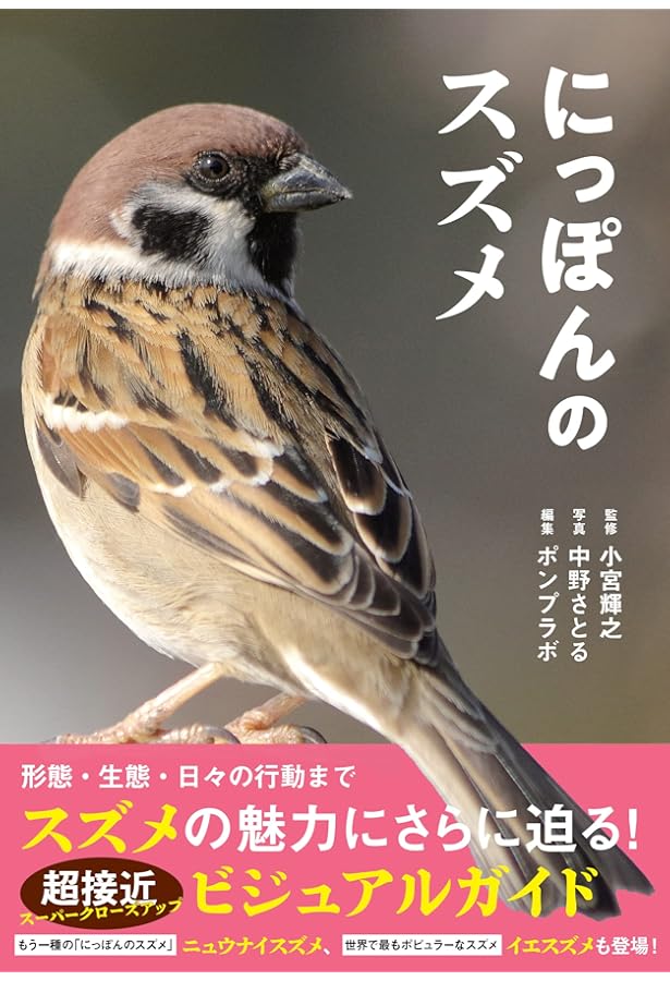 スズメのくらし (たくさんのふしぎ傑作集) | 平野 伸明 |本 | 通販