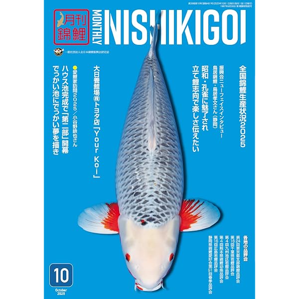 月刊錦鯉 2025年 1月号〜12月号 12冊セット Amazon.co.jp: 月刊錦鯉 2025年12月 -No.463- 妥協なき製品作り