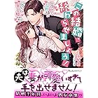 この結婚、終わらせましょう！～ベタ甘な旦那様の密かな蜜月願望？～ (ヴァニラ文庫)