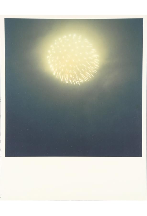 AILA: 川内倫子写真集 | 川内 倫子 |本 | 通販 | Amazon