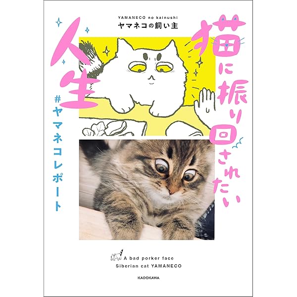 Amazon.co.jp: 猫に振り回されたい人生 #ヤマネコレポート : ヤマネコ