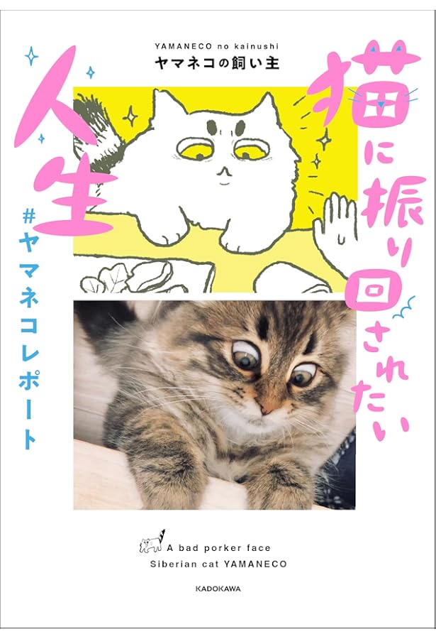 Amazon.co.jp: 楽しく覚える! ご当地ネコ 47都道府県 (講談社MOOK