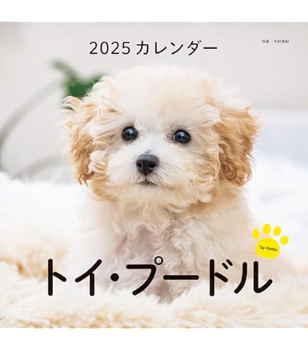 Amazon.co.jp: 2025年 プードル川柳(週めくり) カレンダー No.028