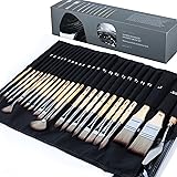 ARTIFY 24 pcs Paint Brush Set, Expert Series, Enhanced Synthetic Brush Set with Canvas Roll and Palette Knife for Acrylic Oil