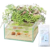 Amazon | アクアテリア N190 メダカ用（ガラス水槽と水耕栽培