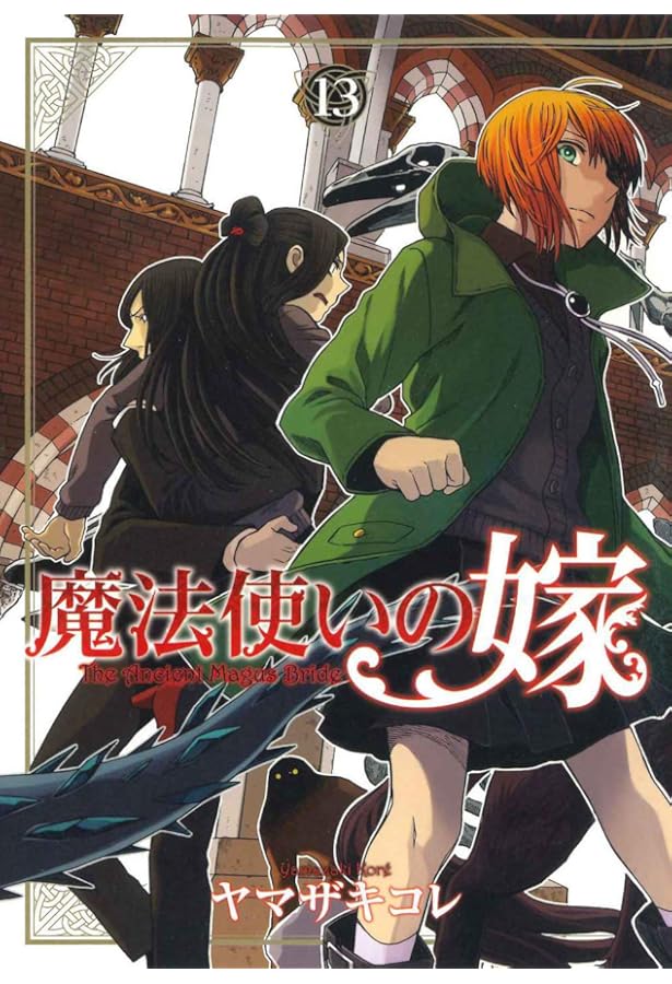 Amazon.co.jp: 初回限定版 魔法使いの嫁 12 B(小冊子&特製収納BOX付