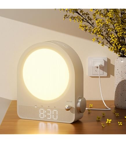 Philips フィリップス Wake-Up Light HF3520 Amazon.com: Philips SmartSleep Wake-up Light, Colored