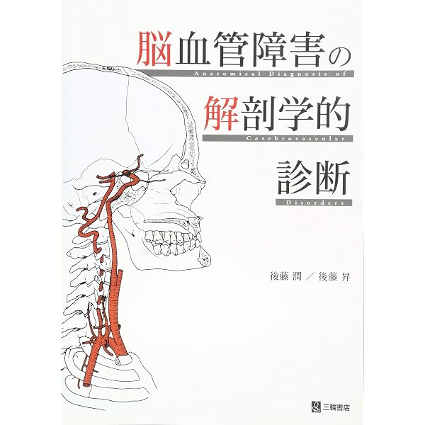 脳脊髄血管 発生から機能解剖、病態まで ニッチ脳神経脈管