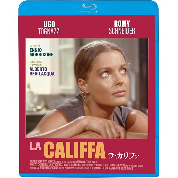 Amazon.co.jp: サンチャゴに雨が降る : DVD
