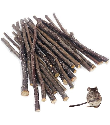 Amazon.co.jp: りんごの木 チンチラ かじり木 小動物 かじり木 りんご