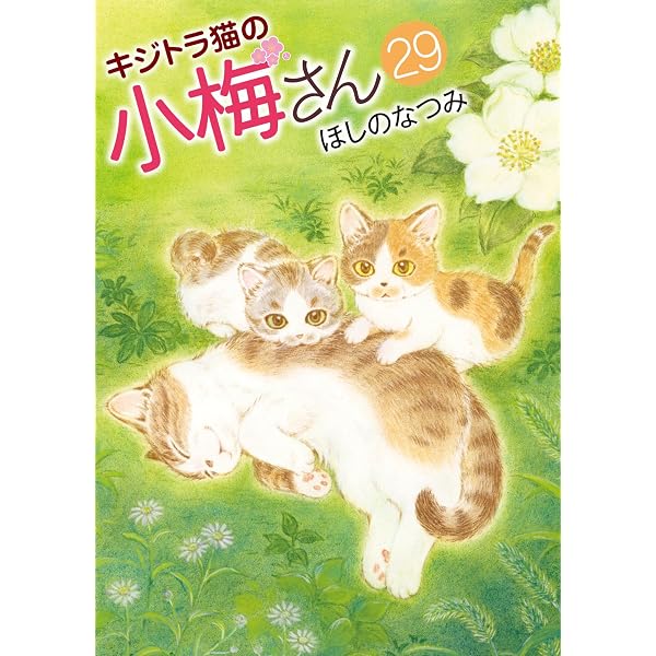 キジトラ猫の小梅さん 28 (28巻) (YKコミックス) | ほしのなつみ |本