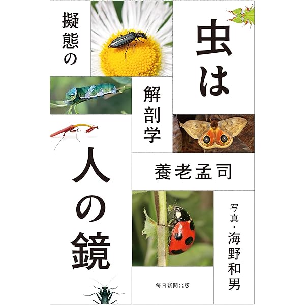 養老孟司のデジタル昆虫図鑑 | 養老 孟司 |本 | 通販 | Amazon