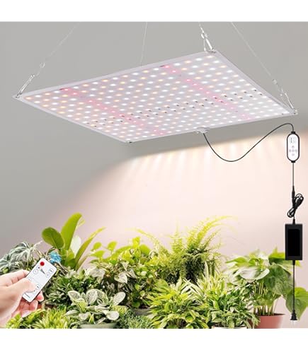 Amazon.co.jp: 600W LED 植物育成ライト 屋内植物用 フルスペクトル