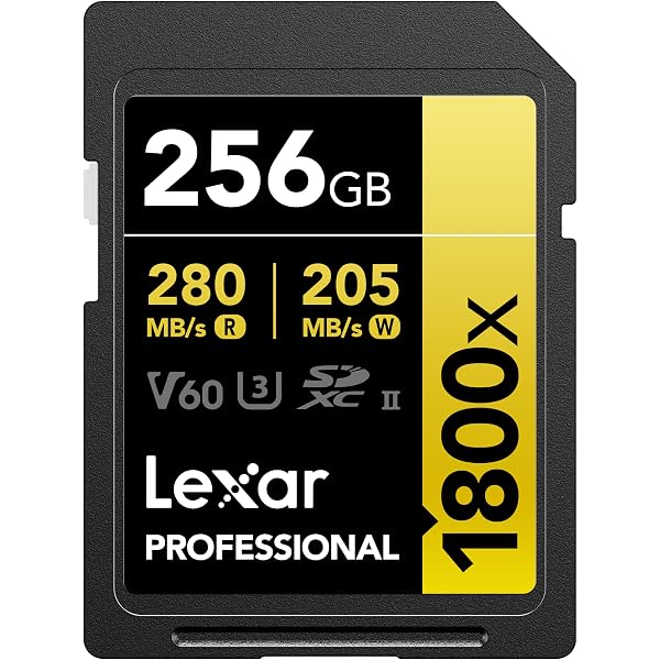 Amazon | SanDisk (サンディスク) 256GB Extreme PRO SDXC UHS-I