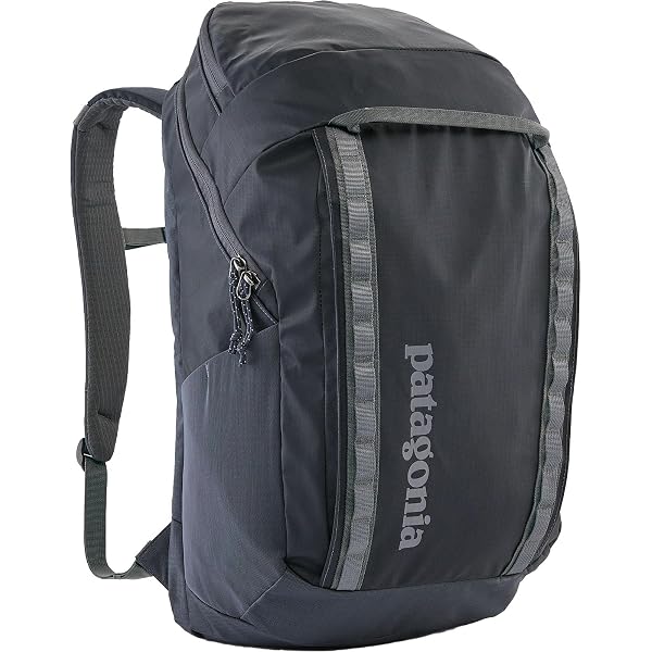 Amazon.co.jp: [パタゴニア] バックパック 49301 BLACK HOLE PACK 32L