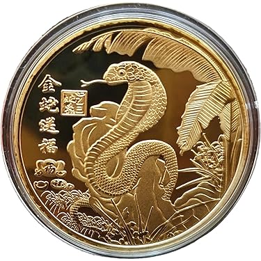 Grateful Dead 純銀記念コイン 限定品 Amazon.co.jp: [SPERANZA] Pt999 純プラチナ コインペンダント
