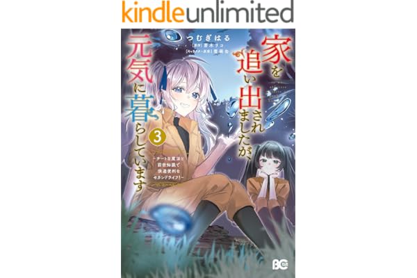 家を追い出されましたが、元気に暮らしています　～チートな魔法と前世知識で快適便利なセカンドライフ！～ 3 (B's-LOG COMICS)